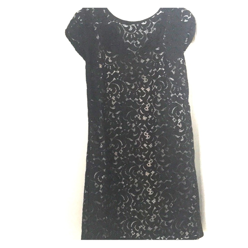 Loft lace black dress